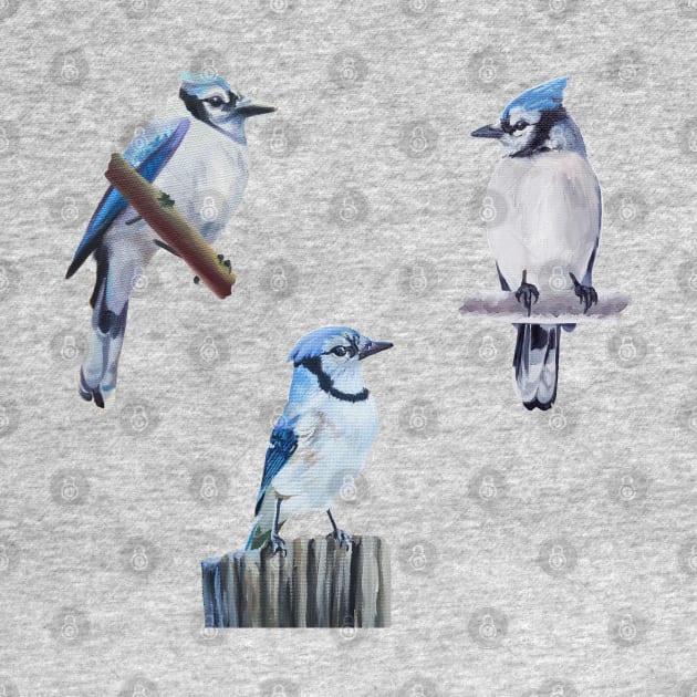 Painted Blue Jay set by EmilyBickell